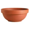 Terracotta Plant Bowl - 23cm 2 Terracotta Plant Bowl - 23cm -Plantery Shop 12804509 7714842737594388