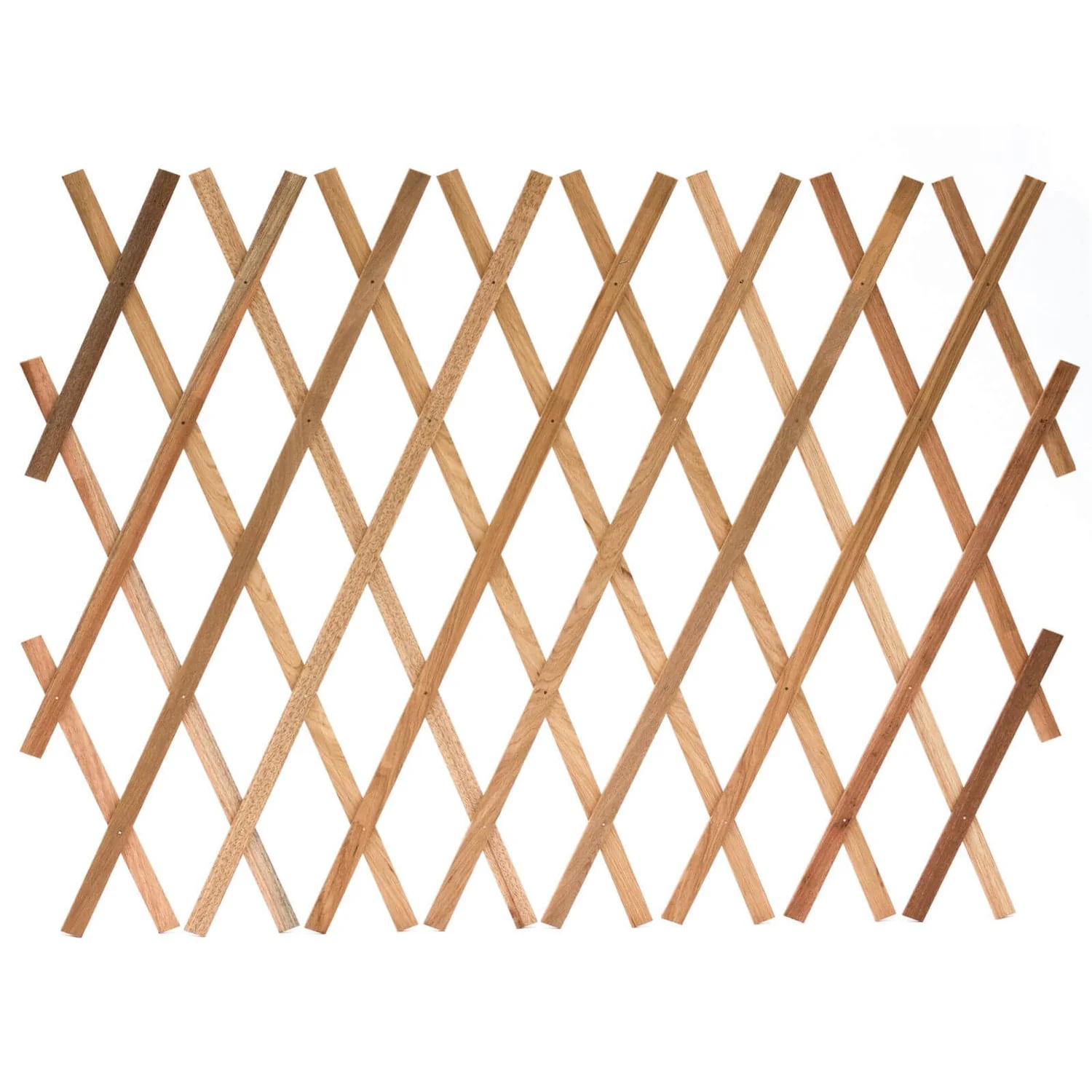 Sprout Garden Expanding Trellis 1.8m X 0.9m 3 Sprout Garden Expanding Trellis 1.8m X 0.9m