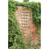 Traditional Fan Trellis 180 X 60cm -Plantery Shop 12815637 7544831944466440