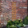 Heavy Duty Trellis - 30cm - Pack Of 10 -Plantery Shop 12823390 7864831944744888