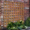 Heavy Duty Trellis - 183cm - Pack Of 10 2 Heavy Duty Trellis - 183cm - Pack Of 10 -Plantery Shop 12823564 1394831951839543