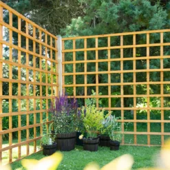 Heavy Duty Trellis - 183cm - Pack Of 10 -Plantery Shop 12823564 7054833218363154