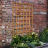 Heavy Duty Trellis - 122cm - Pack Of 5 -Plantery Shop 12823567 1634831951690437