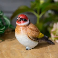 None Resin Blue Tit, Chaffinch & Robin Birds 16 None Resin Blue Tit, Chaffinch & Robin Birds -Plantery Shop 12832873 1835025282409662