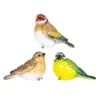 None Resin Blue Tit, Chaffinch & Robin Birds -Plantery Shop 12832873 1995025282271590