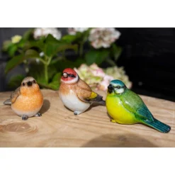 None Resin Blue Tit, Chaffinch & Robin Birds 19 None Resin Blue Tit, Chaffinch & Robin Birds -Plantery Shop 12832873 7575025282540384