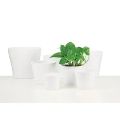 White Plant Pot - 27cm -Plantery Shop 12835705 1754832989262811