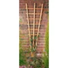 Forest Garden Fan Trellis -Plantery Shop 12844513 1064847481267438