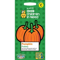 MRF CIN Pumpkin Pudsey Packet