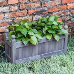 Wooden Trough - Grey -Plantery Shop 12885230 2805013038364594