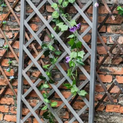 1.8m X 60cm Wooden Trellis Panel - Grey 9 1.8m X 60cm Wooden Trellis Panel - Grey -Plantery Shop 12885325 1525013038743302