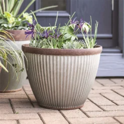 Irondale Cup Pot - 38cm -Plantery Shop 12885428 3164843604381511