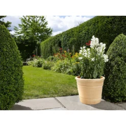 Himalaya Terracotta Vase - 25cm -Plantery Shop 12885618 1874843611542826