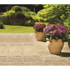 Himalaya Terracotta Planter - 45cm -Plantery Shop 12885647 1524843612399878