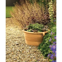 Himalaya Terracotta Low Bowl - 45cm -Plantery Shop 12885657 1874843612664904