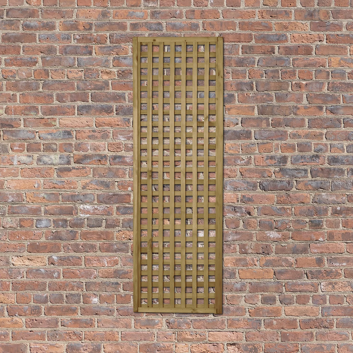 Forest Prem Framed Trellis - 180x60cm - 5pk 6 Forest Prem Framed Trellis - 180x60cm - 5pk - Image 4