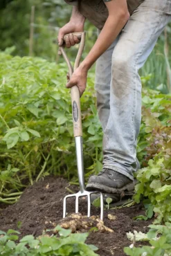 Spear & Jackson Traditional Stainless Digging Fork -Plantery Shop 12904675 1274851072244143