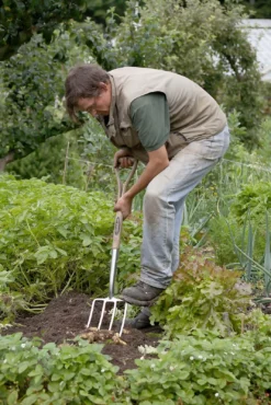 Spear & Jackson Traditional Stainless Digging Fork -Plantery Shop 12904675 2754851072222033