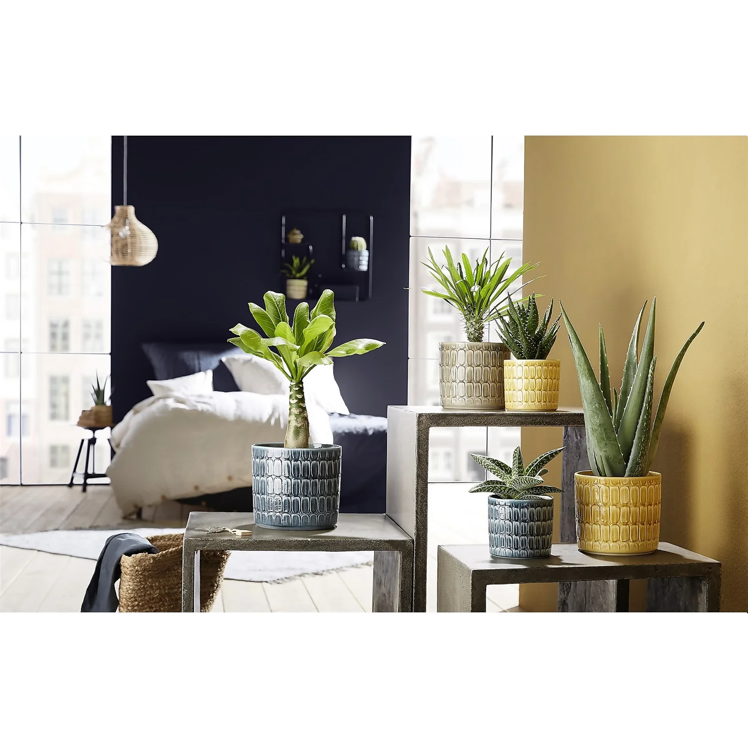 Scheurich Elna Yellow Ceramic Pot - 16cm 4 Scheurich Elna Yellow Ceramic Pot - 16cm - Image 2