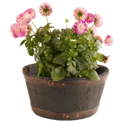 Oakwood Barrel Planter -Plantery Shop 12940717 6354927489134945