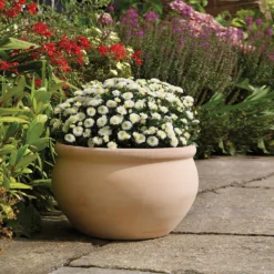 Regency Terracotta Bowl - 48cm -Plantery Shop 13176832 5264933182853242