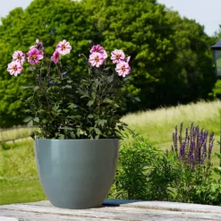 Chiswick Egg Pot Grey 27cm -Plantery Shop 13176833 2034953204241713