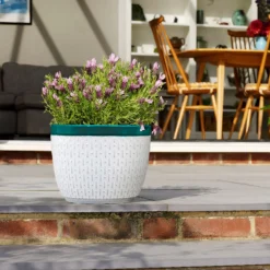 House Beautiful 2 Tone Teal Rim Egg Pot - 25cm -Plantery Shop 13188804 2114943630148507