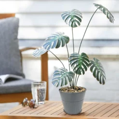 Ribbed Planter (3 Colour Mix) - 12cm -Plantery Shop 13193954 4474933504214550