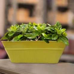 Ribbed Trough Planter Mix - 40cm -Plantery Shop 13193959 8694904495671113