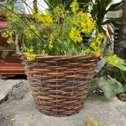 Natural Weave Round Garden Planter 30cm -Plantery Shop 13204834 1204951328947950