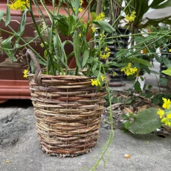 Natural Weave Round Garden Planter 20cm -Plantery Shop 13204837 1354951328938494