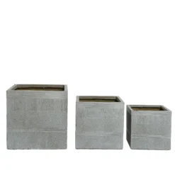 Plantery Shop -Plantery Shop 13222481 8184929321040527