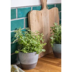 Hampton Moon Plant Pot - 19cm -Plantery Shop 13432906 6654914553456134