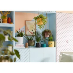 Perla White Plant Pot - 15cm -Plantery Shop 13432913 1764948249995216