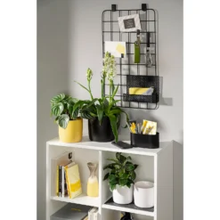 Perla White Plant Pot - 15cm -Plantery Shop 13432913 3744914557652624