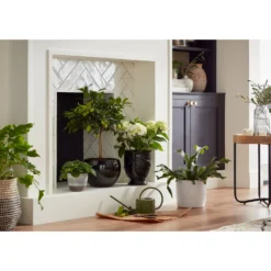 Perla White Plant Pot - 13cm -Plantery Shop 13432916 5354948242882381