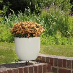 Glazed Cream Heritage Egg Pot - 21cm -Plantery Shop 13441309 5874933184225181