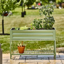 Plantery Shop -Plantery Shop 13480856 1724932710776209