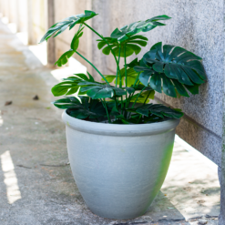 Ashford Planter Grey 35cm -Plantery Shop 13928636 1105001955420998