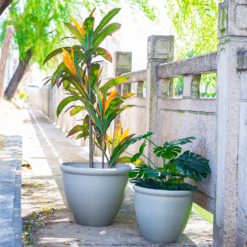 Ashford Planter Grey 35cm -Plantery Shop 13928636 1795001955680876