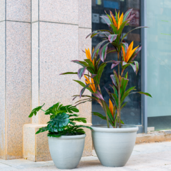 Ashford Planter Grey 35cm -Plantery Shop 13928636 4345001955583745