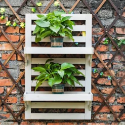 Homebase Indoor/Outdoor Wooden Plant Shelves -Plantery Shop 13950433 5435013038858076