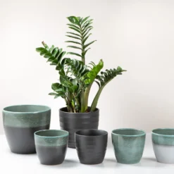 Scheurich Black Indoor Pot - 22cm 7 Scheurich Black Indoor Pot - 22cm -Plantery Shop 13953249 9194987120217610