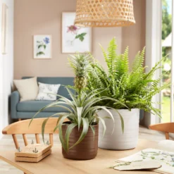 Scheurich Ripple Brown Indoor Pot - 23cm -Plantery Shop 13953261 1874987120067466