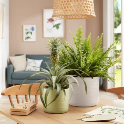 Scheurich Ripple White Indoor Pot - 28cm 7 Scheurich Ripple White Indoor Pot - 28cm -Plantery Shop 13953263 9804987120214778