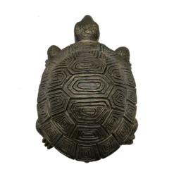 Bronze Look Tortoise Garden Ornament -Plantery Shop 13965953 9455014597078053