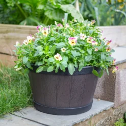 Banded Whiskey Barrel Planter - 39cm -Plantery Shop 13973620 9525011238741097