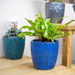 Chiswick Textured Pot Blue - 18cm 10 Chiswick Textured Pot Blue - 18cm -Plantery Shop 13973626 1575011238500389