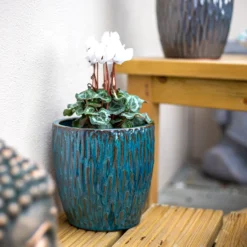 Chiswick Textured Pot Green - 32cm -Plantery Shop 13973629 2095011238508873