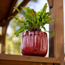 Chiswick Running Pot Red - 18cm -Plantery Shop 13973651 1775011238634708